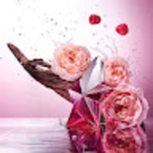 Meet your Posher, Natalia